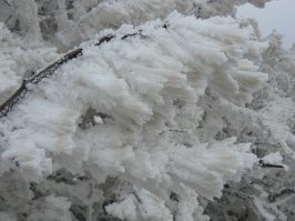 А как вам вот такая изморозь?! Белогорский район, февраль 2011 г.