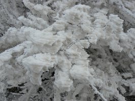 А как вам вот такая изморозь?! Белогорский район, февраль 2011 г.