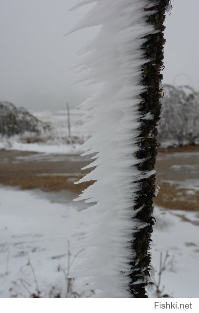 Начало октября в Крыму, как правило, почти еще лето. Исключением стало 6.10.2013, когда резкое похолоданием засыпало снегом Крымские горы и еще зеленые леса. Плато Караби...