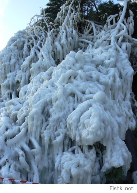 Ялтинская набережная после шторма в феврале 2012 года.