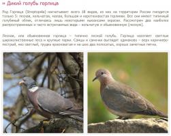 Главное ведь поспорить. :)