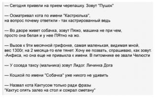 Цитаты с форума ветеринаров..)))