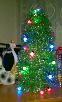 Моя мини-ёлочка! Днём радовала глаз, а ночью использовалась в качестве ночника (светильника). Всего-то мишура, гирлянда, пустая бутылка от двушки колы и трехлитровая банка!:)... Главное - это постараться, а не сделать "абы как"!))))