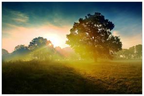 Отличная подборка! Всем Доброго утра и хорошего дня )))))