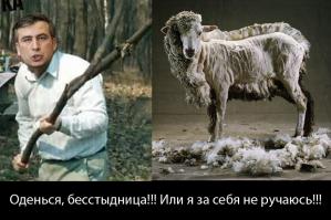 Фотоподборка за 07.08.2014 