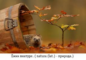 Осень, ты прекрасна!