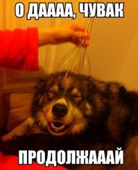 Картинки со смешными подписями