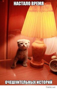 Новый способ мошенничества