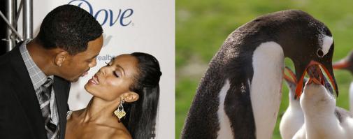 Взгляд способен рассказать всё 