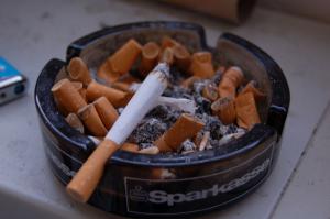 Завораживающий фоторепортаж из твоего тела