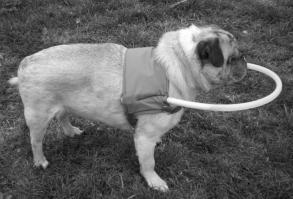 Идее как бы лет 20-50, но все равно молодец!