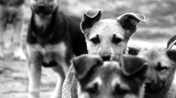 Больше, чем просто фото