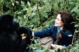 Кино по теме, кто не смотрел: