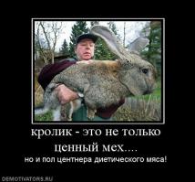 Кролики это ж не только ценный мех!..