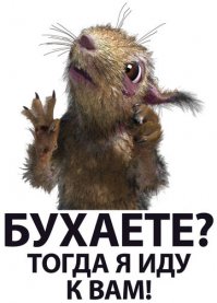 Стыдитесь, Илларион!