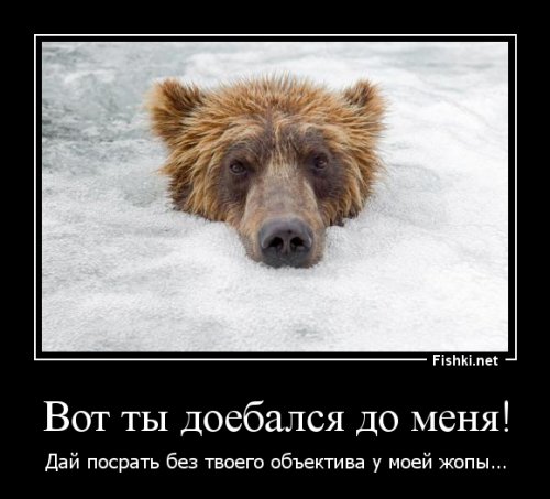 Сергей Горшков - &quot;Медвежий&quot; фотограф