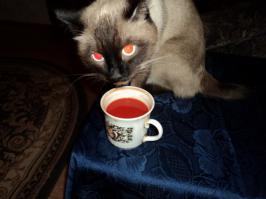 Невский Маскарадный