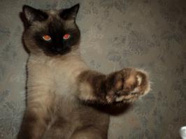 Невский Маскарадный