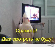 это п.и.з.д.е.ц., товарищи...