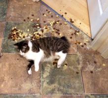 Мдааа, мои тоже так делают только намного намнооого хуже