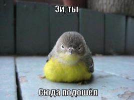 Для отличного настроения на весь день!