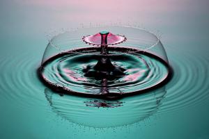 Фишкина солянка за 27.09.2014