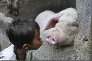 Необычная пара