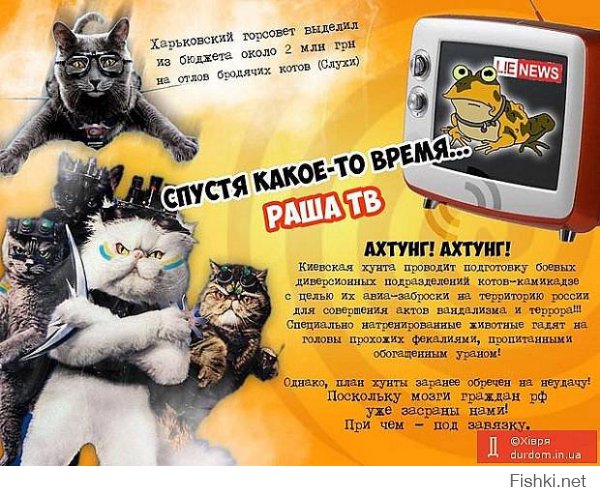 На территорию Украины засланы коты-диверсанты