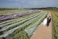 Вот эта зачётно получилось: