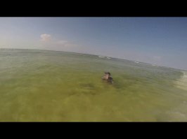 Если "это" это амбра, то ребята нехилую тонну бабла подняли.