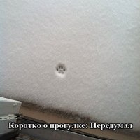 Смешные комментарии из социальных сетей 17.02.15