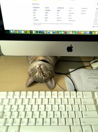 А для чего кнопка F13?