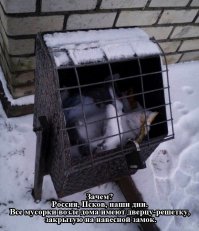 Смешные комментарии из социальных сетей 11.05.15