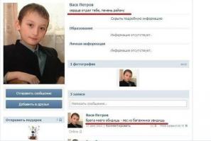 вася петров и петя васечкин