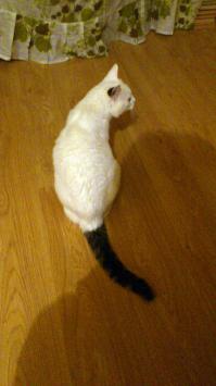 А у меня такой был