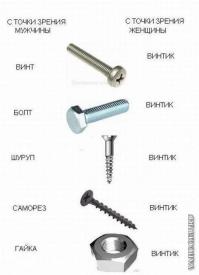 Это же винтик!!!!