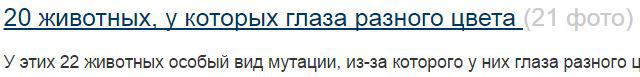 22 животных из 20-ти. На 21-м фото. Где я? Кто здесь?