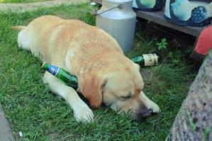 ДА НУ ВАС ВСЕХ )))