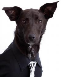 Не все фото отправились. Дополню.