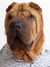 Не все фото отправились. Дополню.