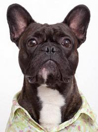 Не все фото отправились. Дополню.