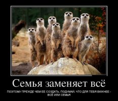 Лично для меня важнее семья.