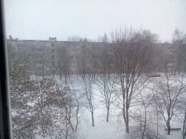 зал, спальня, кухня)