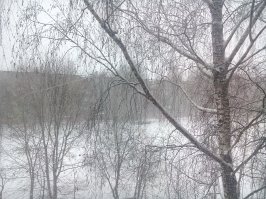 зал, спальня, кухня)