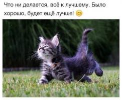 Котоспиритизм