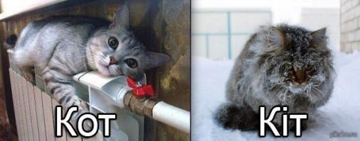 Демотиваторы про Укро-ину 10