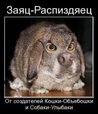 Смешные картинки с подписями