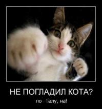 Смешные картинки с подписями