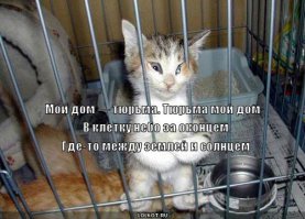 Путешествие на круизном лайнере, не выходя из дома