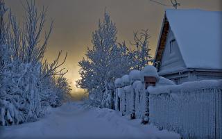 Как подорвать больную психику укропа? или перепись укропитеков ч.4